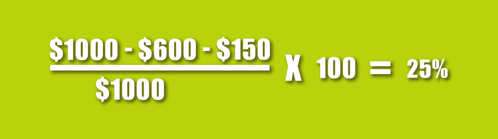 Net Profit Margin Example